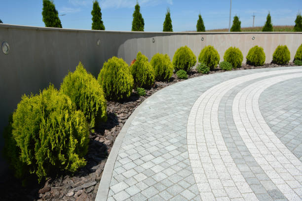 Best Local Driveway Pavers  in Ridgetop, TN